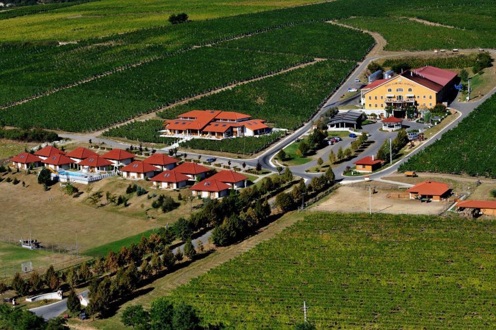 Egri Korona Borhaz Es Wellness Hotel Demjén Dış mekan fotoğraf